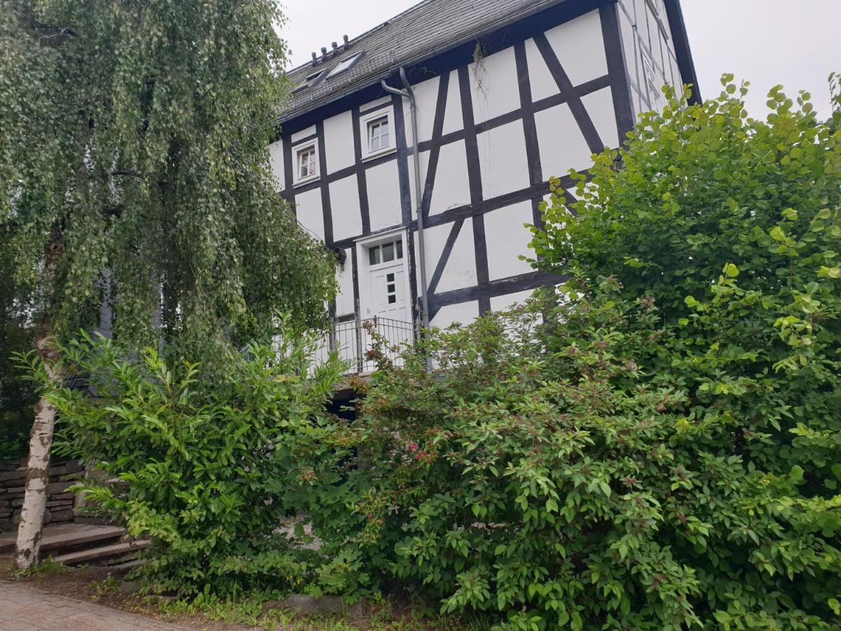 Neu Gemuetliche Ferienhaus Mit 3 Ferienwohnungen "Max " , " Leonore " Und "Beatrice" Халленберг Экстерьер фото