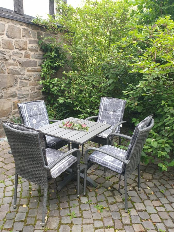 Neu Gemuetliche Ferienhaus Mit 3 Ferienwohnungen "Max " , " Leonore " Und "Beatrice" Халленберг Экстерьер фото